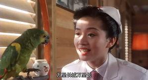 富贵兵团拍摄花絮