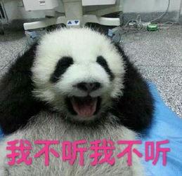 徐峥说滚的表情包,笑出腹肌！