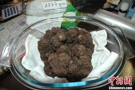 黑松露的图片